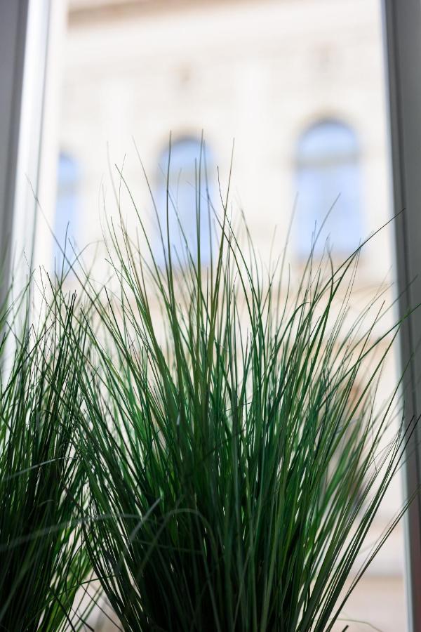 Native Apartments Studencka 25 Krakow Dış mekan fotoğraf